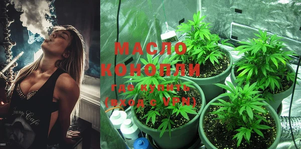 крисы Пересвет