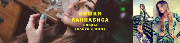 крисы Пересвет
