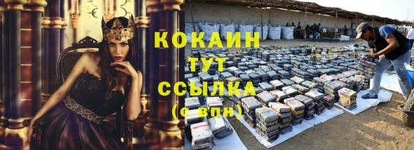 крисы Пересвет