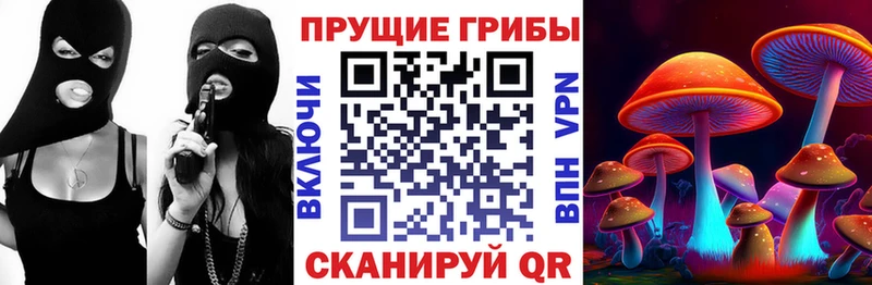 Галлюциногенные грибы Psilocybine cubensis  ссылка на мегу зеркало  Ревда 