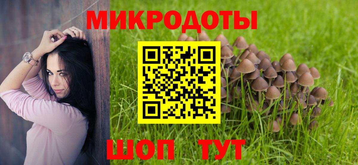 Галлюциногенные грибы Psilocybe  Вход с VPN  магазин  наркотиков  Ревда 