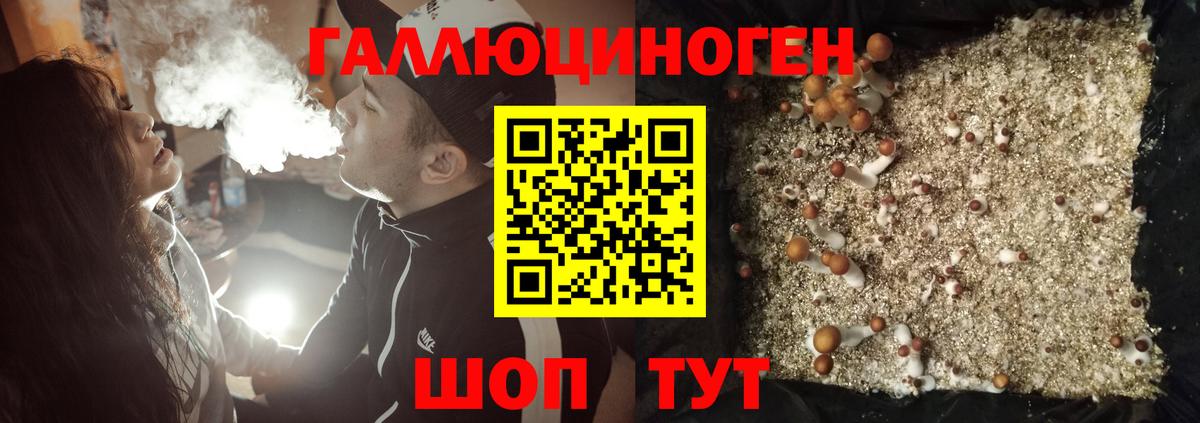 Гашиш  МДМА  Вход с VPN  КОКАИН  Меф  Меф МЯУ МЯУ кристаллы  Ревда  ЭКСТАЗИ  Где найти наркотики?  Гашиш  Каннабис  Alpha-PVP СК кристаллы 
